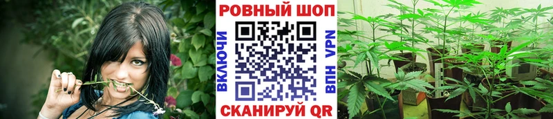 Купить закладку A-PVP  Мефедрон  АМФЕТАМИН  ГАШ  Новосибирск