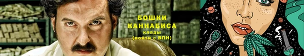 гидра Арсеньев