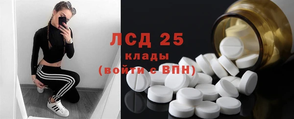 крисы Аркадак