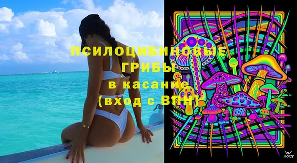 гидра Арсеньев
